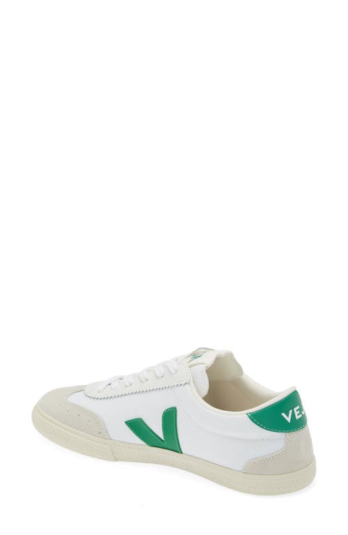 Shop Veja Volley Canvas Sneaker In White/emeraude