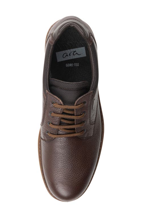 Ara Farren Waterproof Plain Toe Derby In Brown