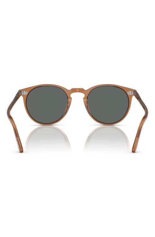 Shop Oliver Peoples O'malley 48mm Round Sunglasses In Carob/regal Blue