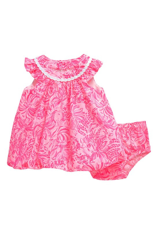 Lilly Pulitzer Babies' Paloma Cotton Bubble Dress & Bloomers In Pink Blossom