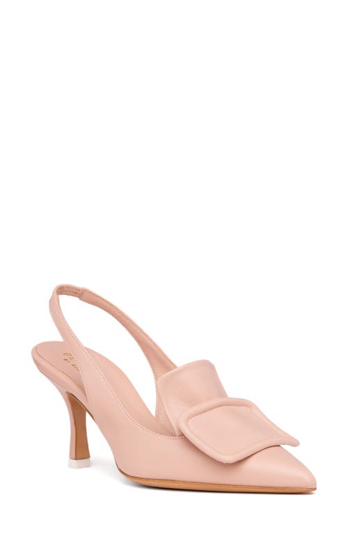 Greta Pointed Toe Pump in Nude Leather