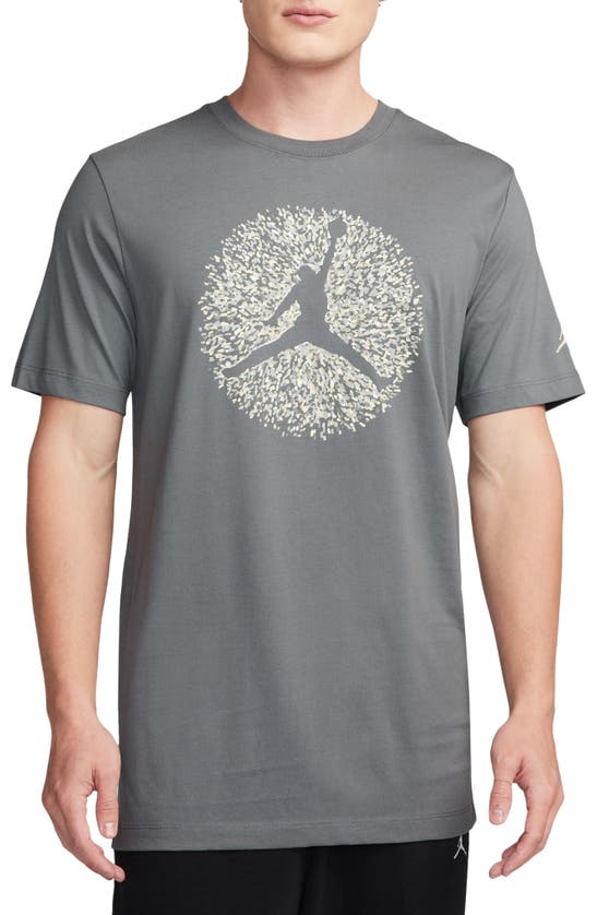 Shop Jordan Pointillism Jumpman Graphic T-shirt In Smoke Grey