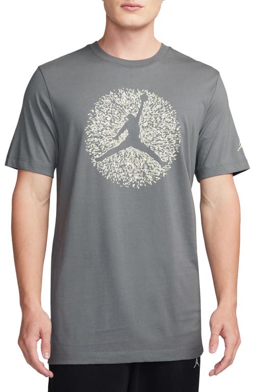 Jordan Pointillism Jumpman Graphic T-Shirt at Nordstrom,