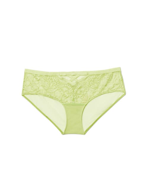 Shop Adore Me Diara Hipster Panties In Light Green