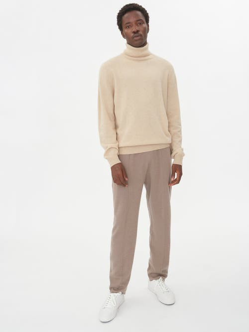 Shop Gobi Cashmere Turtle Neck In Beige