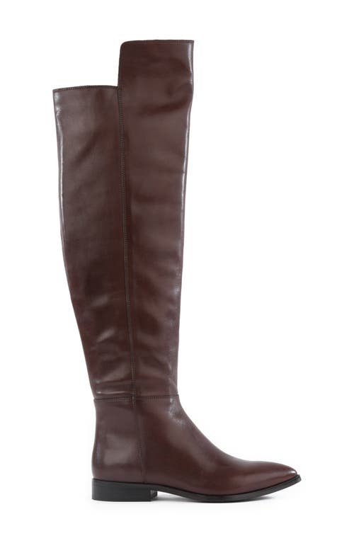 Seychelles Gentle Touch Knee High Boot In Brown Leather