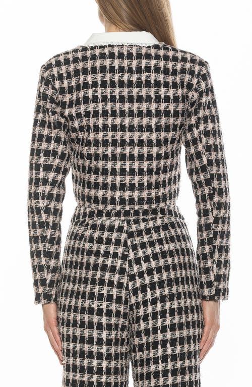 Alexia Admor Aurelia Cropped Tweed Jacket In Black/pink