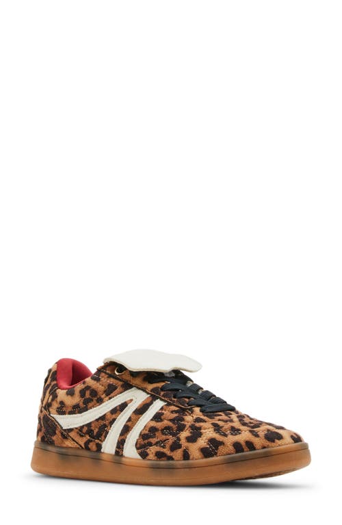 Shop Steve Madden Madrid Low Top Sneaker In Leopard