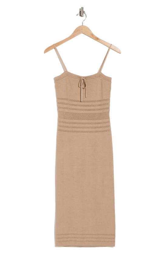 Shop Bebe Pointelle Detail Knit Dress In Taupe
