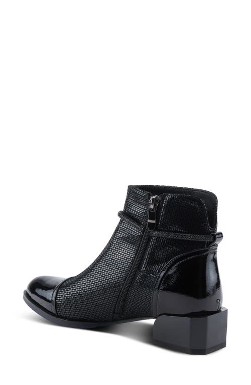 Azura By Spring Step Shelbi Cap Toe Bootie In Black Patent