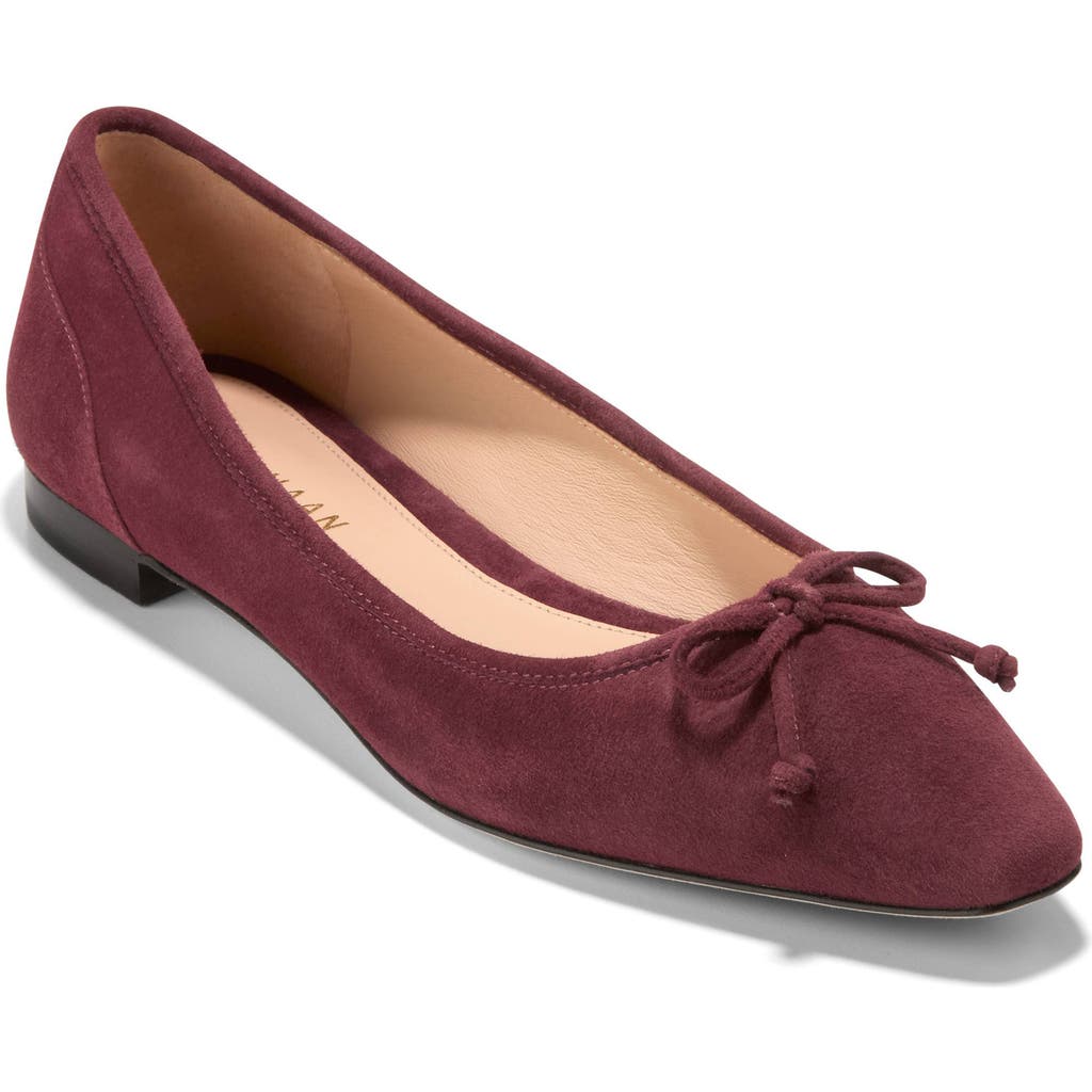 Cole Haan Chlea Pointed Toe Ballet Flat In Bloodstone
