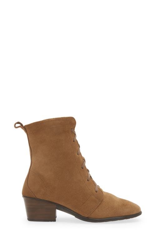 Shop Naot Majesty Lace-up Boot In Acorn Suede