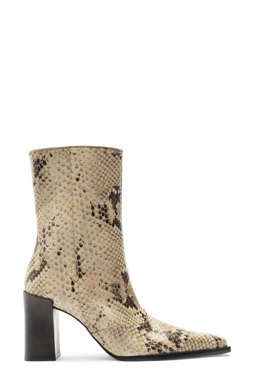 Shop Schutz Raffaela Pointed Toe Bootie In Animal Print