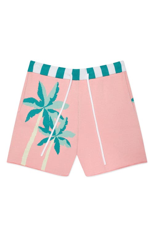 Beverly Hills Knit Shorts in Pink