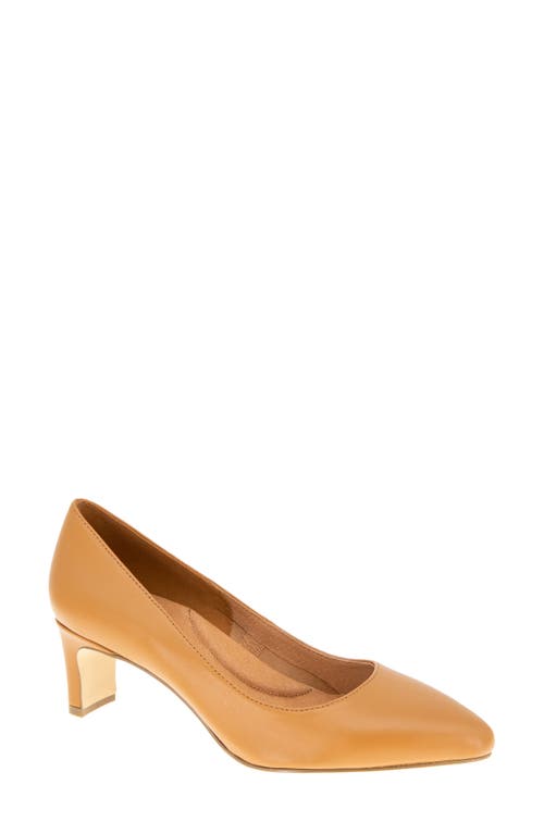 Shop Andre Assous André Assous Wynne Pump In Pecan