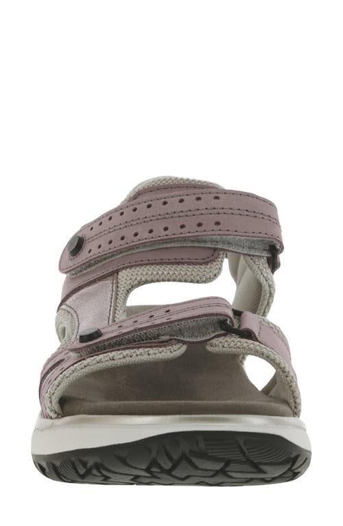 Shop Sas Embark Sandal In Wisteria