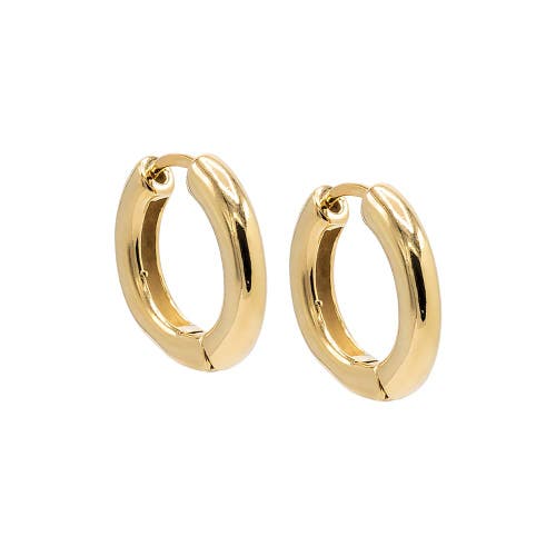 Shop Adina Eden By  Classic Tube Hoop Earring In Gold