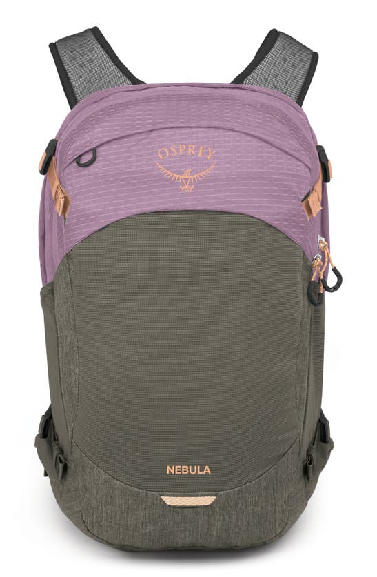 Shop Osprey Nebula 32-liter Backpack In Pashmina/ Tan Concrete