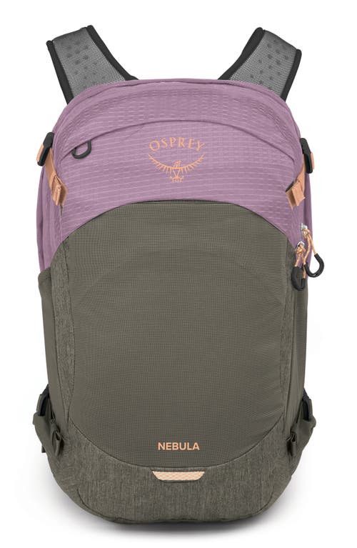 Osprey Nebula 32-liter Backpack In Burgundy