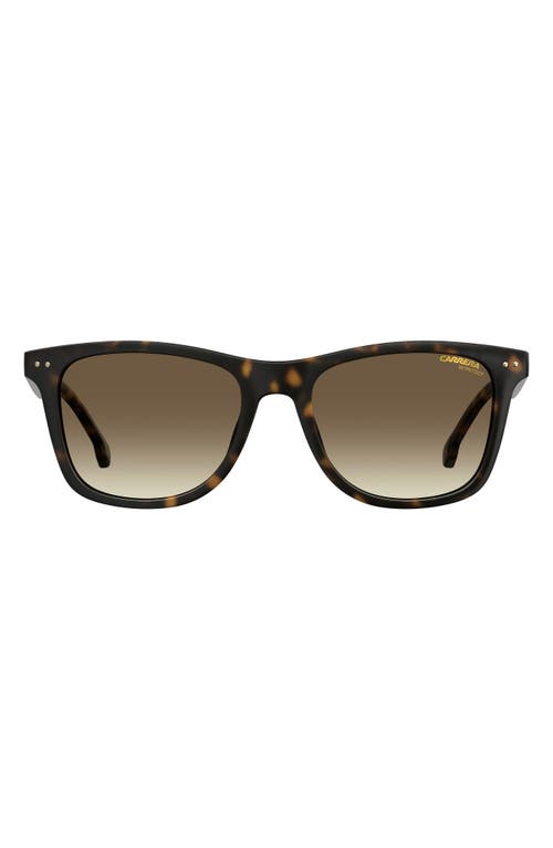 Carrera Eyewear 51mm Rectangle Sunglasses in Dark Havana/Brown Gradient