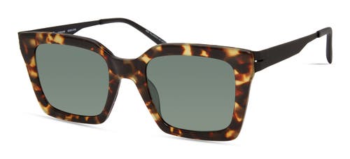 Modo 475 Sunglasses In Tortoise