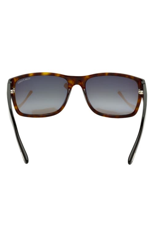 Tom Ford 56mm Square Sunglasses In Havana/green
