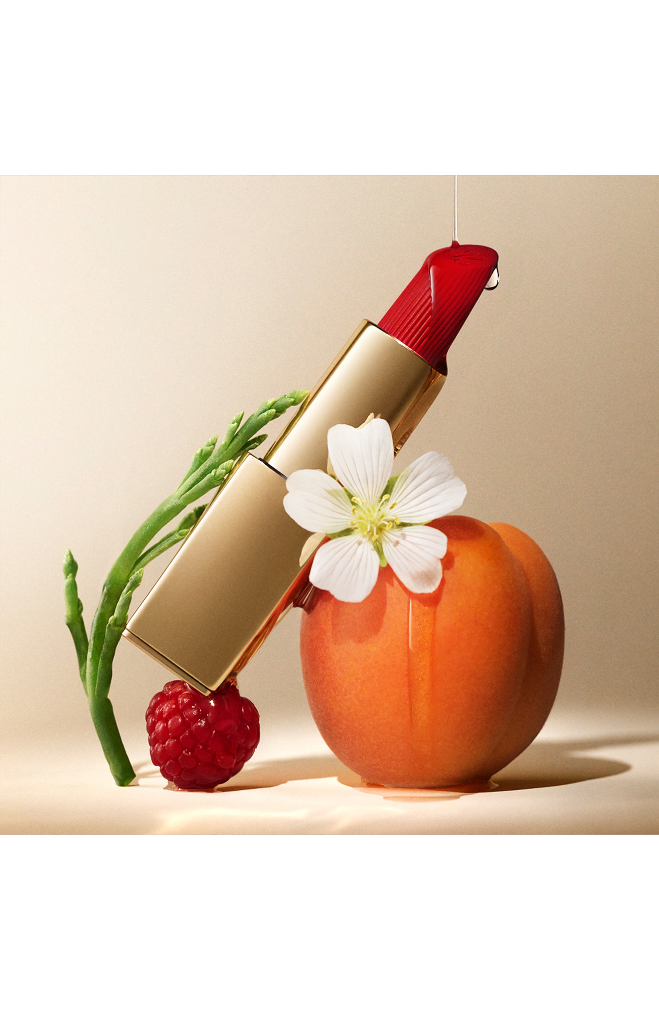 Estée Lauder Pure Color Creme Lipstick Nordstrom