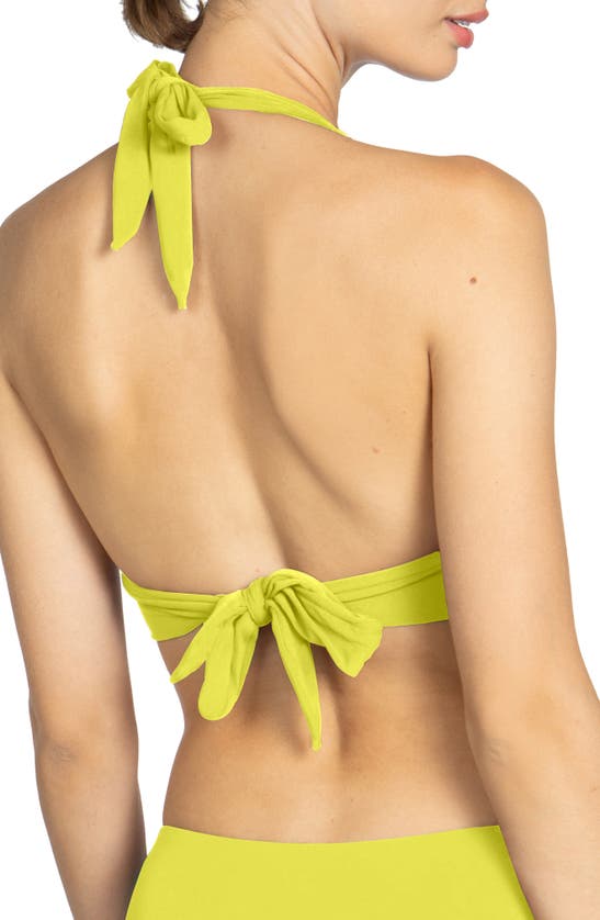Robin Piccone Aubrey Halter Top In Honeydew