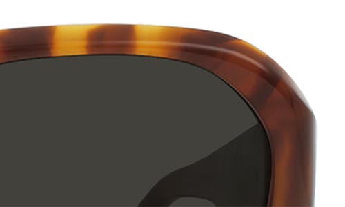 Raen Zouk Gradient Polarized Square Sunglasses In Oso Tortoise/monsoon