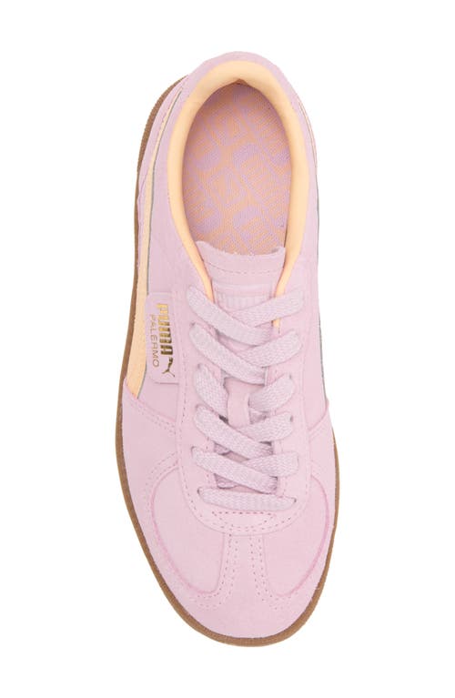 Shop Puma Kids' Palermo Sneaker In Grape Mist-peach Fizz