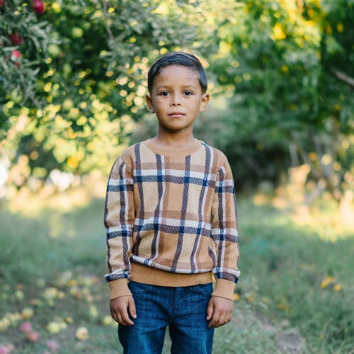 Shop Hope & Henry Boys' Crew Neck Pullover Sweater, Kids In Honey Brown Plaid Intarsia