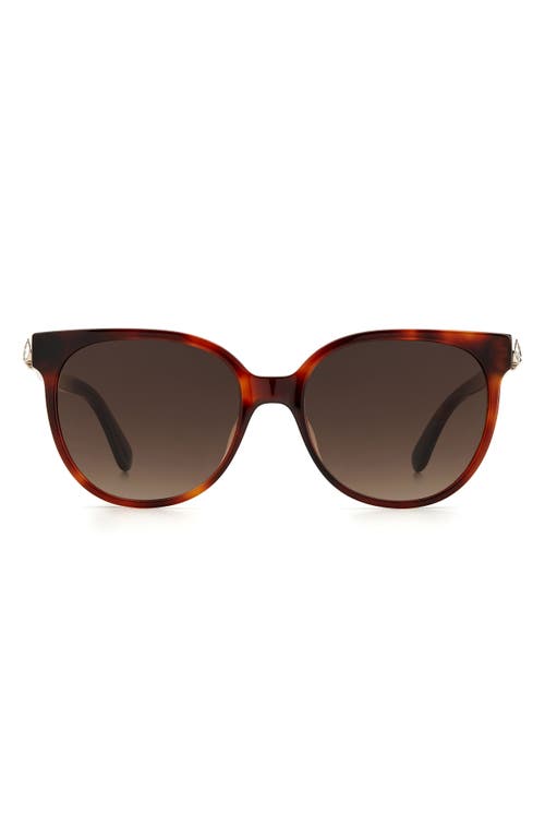 Geralyns 53mm Round Sunglasses in Havana /Brown Gradient