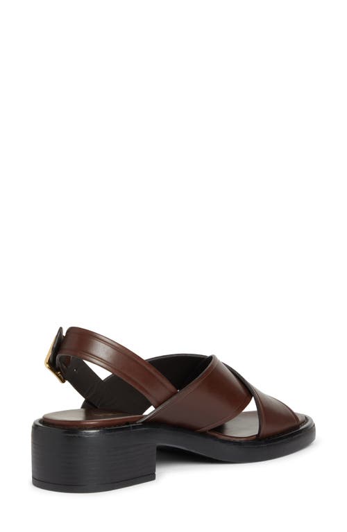 Shop Prada Sandali Block Heel Sandal In Moro