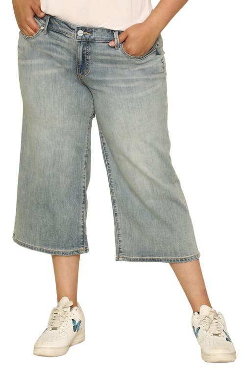 SLINK Jeans Crop Wide Leg Jeans in Destiny at Nordstrom, Size 14W