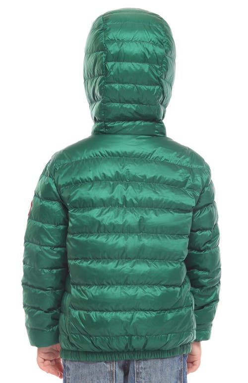 Shop Rokka&rolla Kids' Ultra Light Packable Down Jacket In Verdant Green