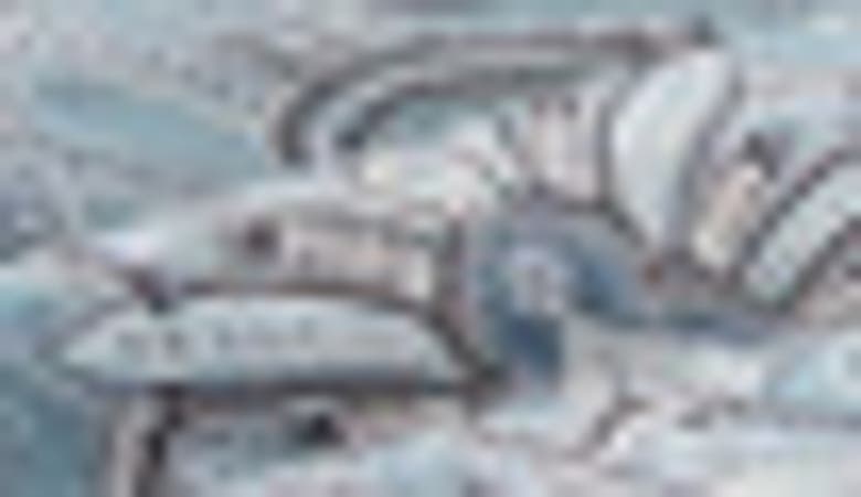 SOUTHSHORE FINE LINENS SOUTHSHORE FINE LINENS PURE MELODY SHEET SET