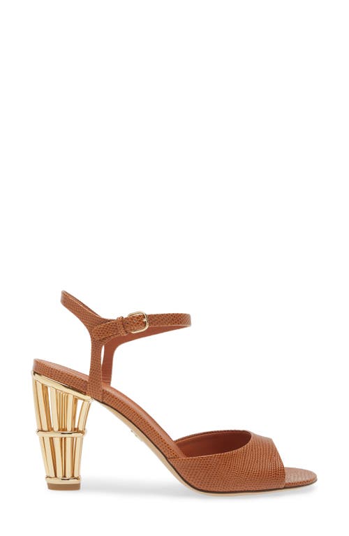 Shop Ferragamo Nikla Sandal In Cognac