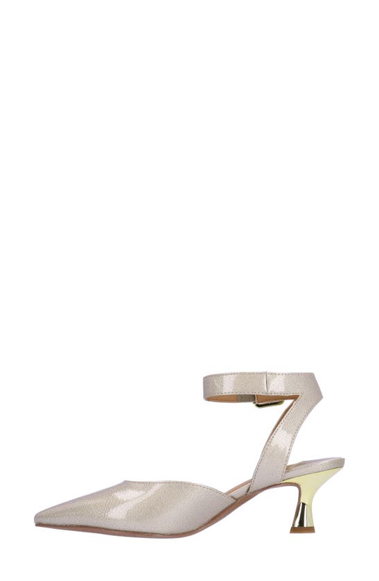 Shop J. Reneé Tamsin Ankle Strap Pointed Toe Pump In Taupe