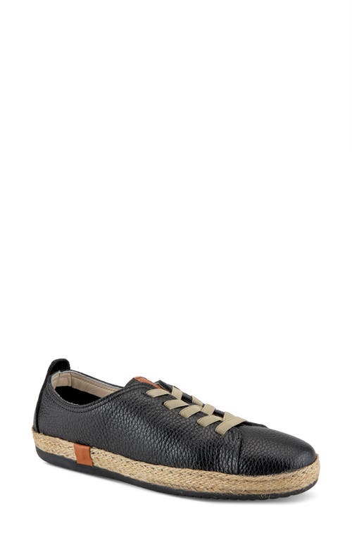 Shop Spring Step Eloya Sneaker In Black