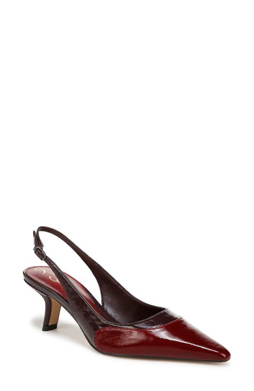 Shop Sam Edelman Bayley Pointed Toe Slingback Pump In Cabernet Red/parisian Plum