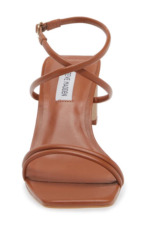 Shop Steve Madden Stefania Ankle Strap Sandal In Brown Leather