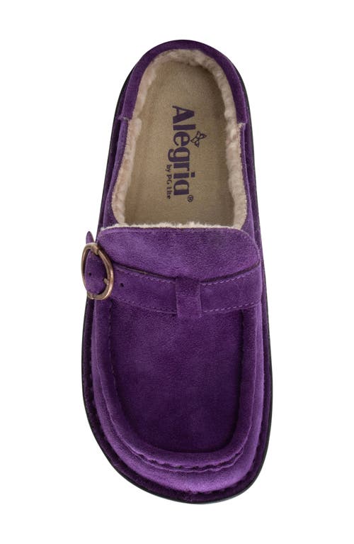 Shop Alegria By Pg Lite Clog In Deep Amethyst