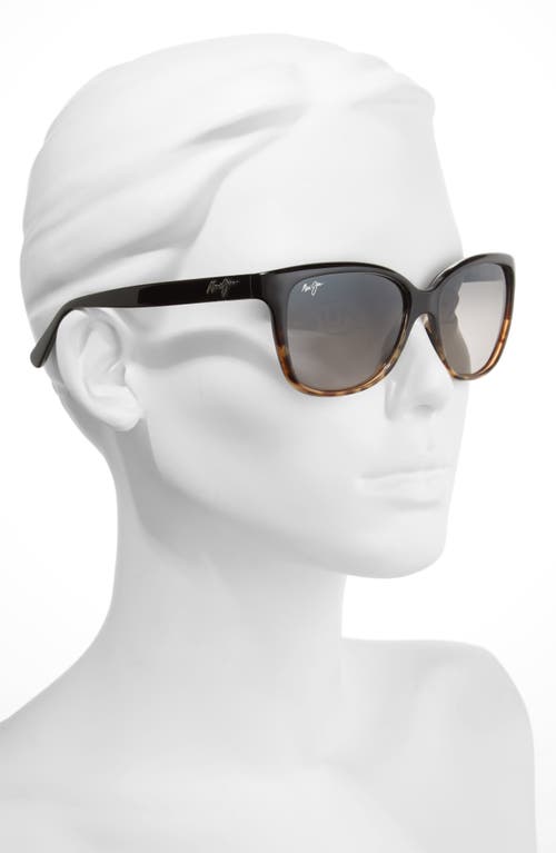 Maui Jim Mj0744s Cat-eye Sunglasses In Black/tortoise