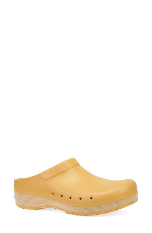 Shop Dansko Kane Clog In Mustard