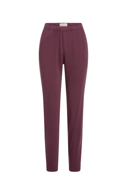 The Standard Stitch The Sweatpant In Plum