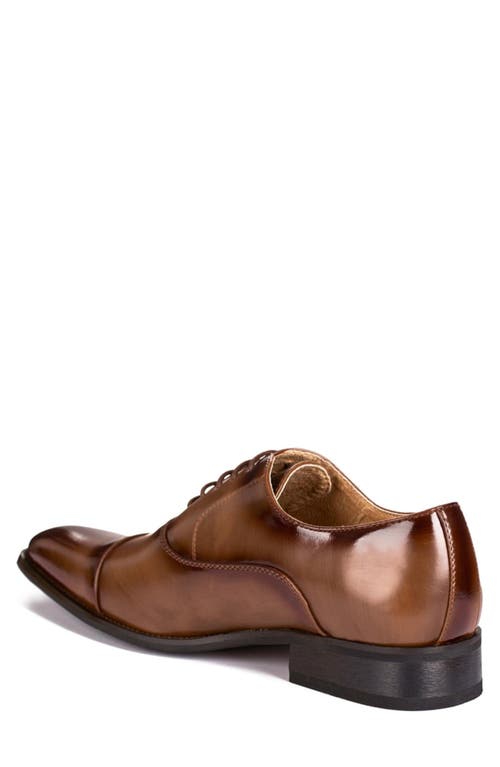 Gino Vitale Cap Toe Oxford In Dark Brown