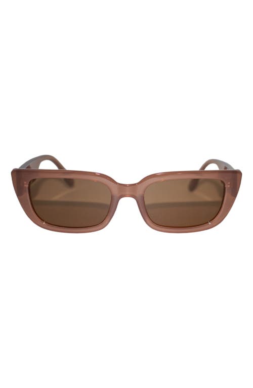 Fifth & Ninth Drew 53mm Polarized Cat Eye Sunglasses in Taupe/Taupe