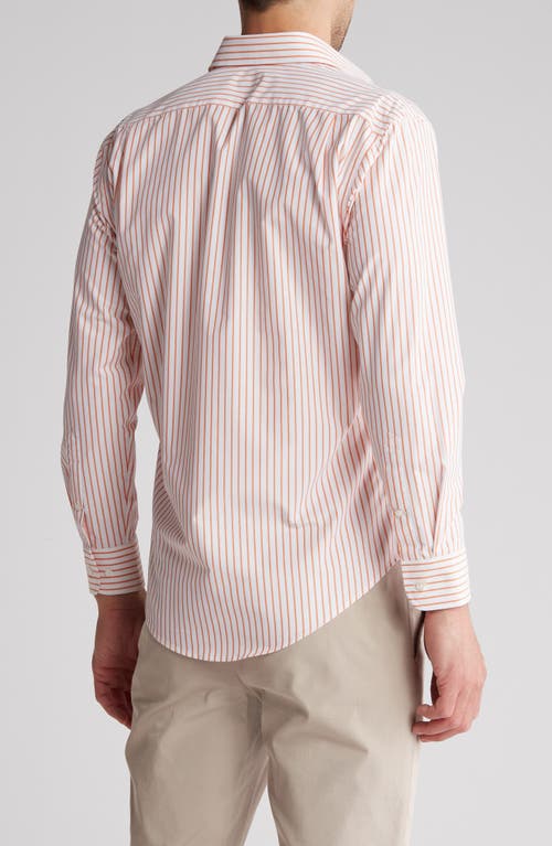 Shop Nordstrom Rack Wymer Trim Fit Button-up Dress Shirt In White- Orange Wymer Stripe