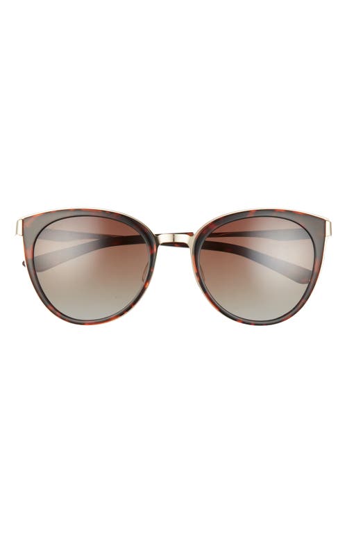 Somerset 53mm Polarized Cat Eye Sunglasses in Tort/Brown Gradient
