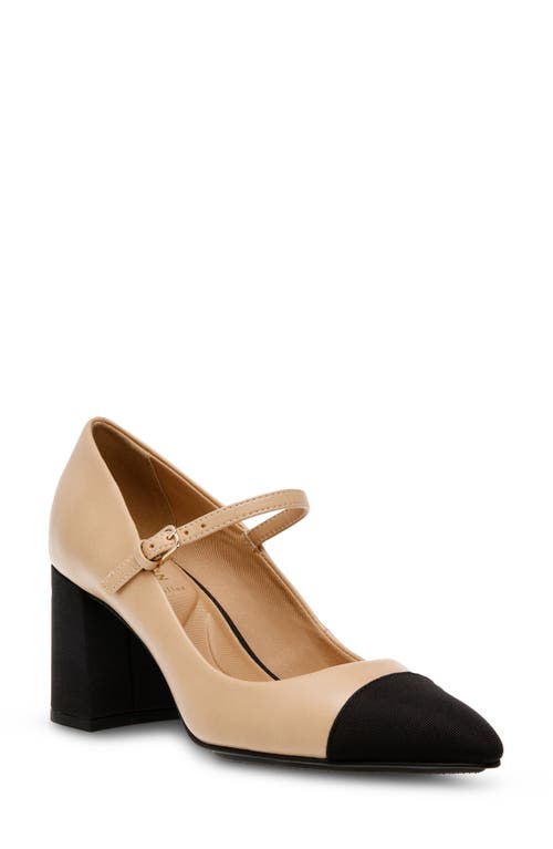 Shop Anne Klein Bryant Pointed Toe Pump In Nude/black